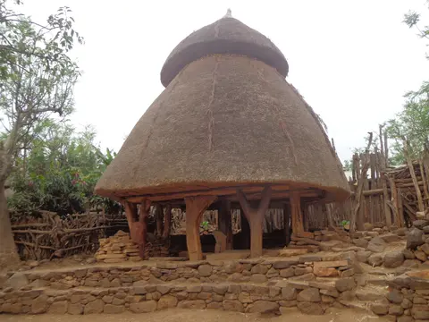 Mora